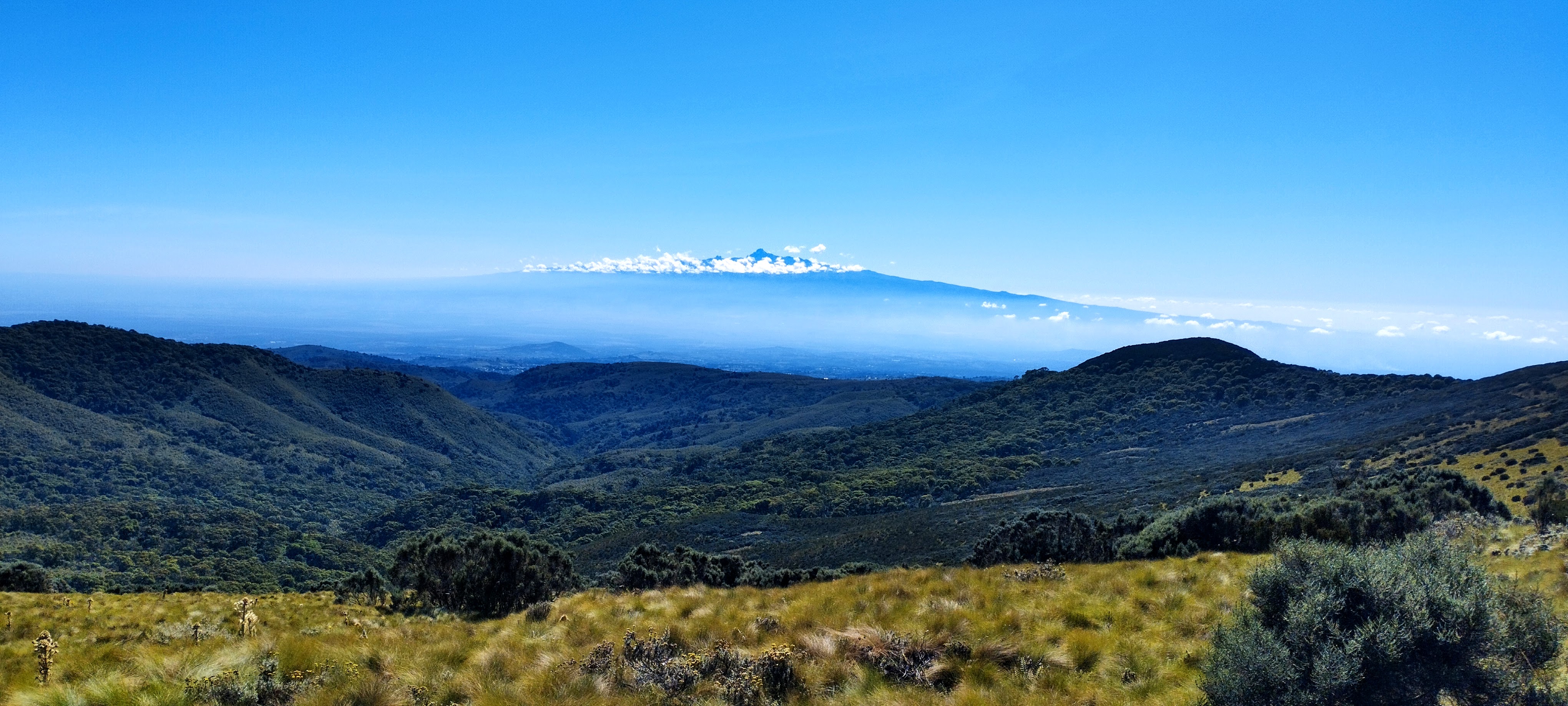 The lush Aberdare Ranges.
