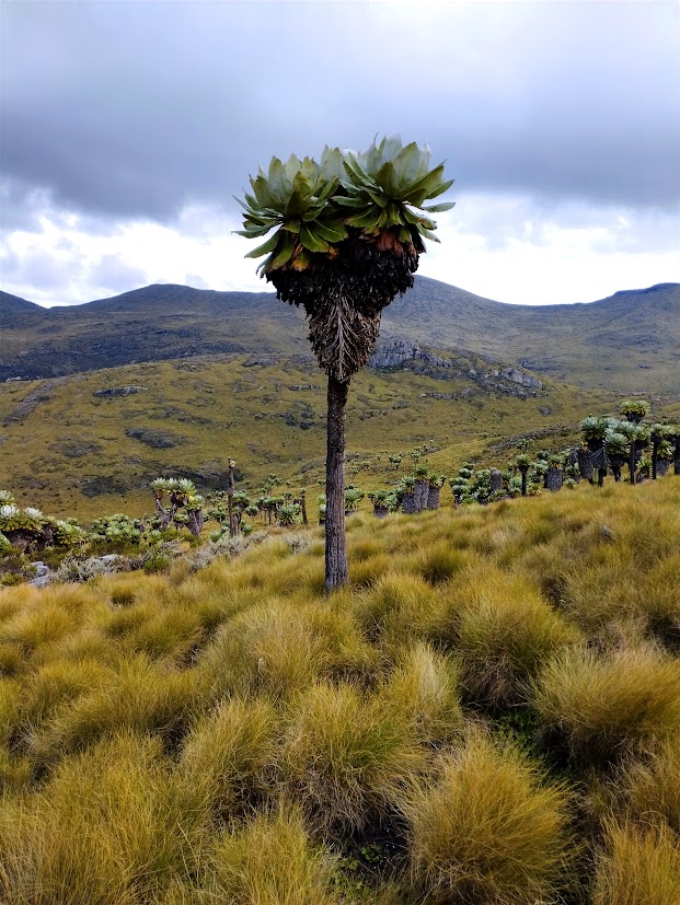 The mystical Seven Ponds plateau.