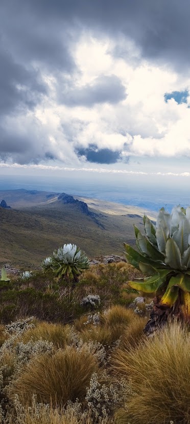The iconic rock formations of Dragons Teeth.