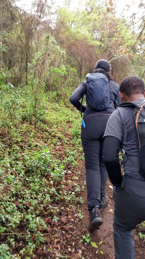 Mt. Kipipiri trail in the Aberdares.