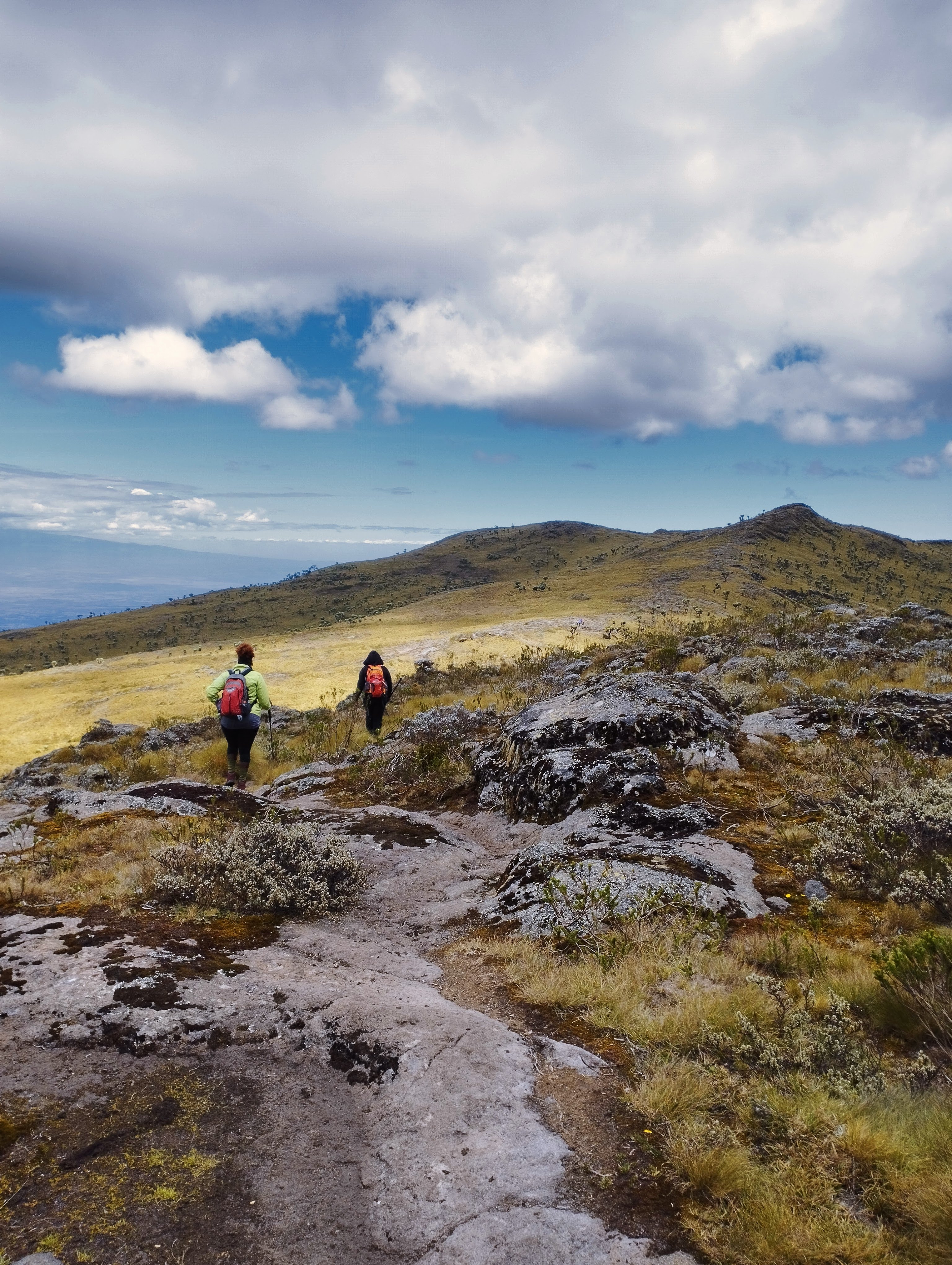 Satima peak in the Aberdares.