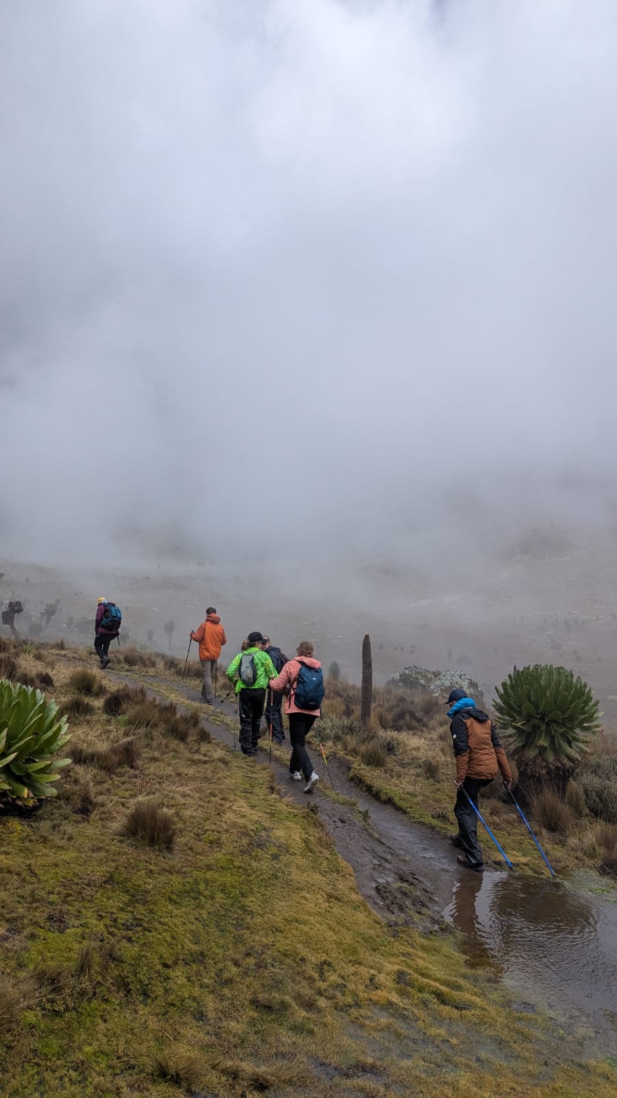 The classic Sirimon-Naro Moru cross-mountain traverse.