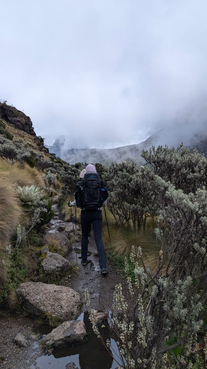 Trekking on the Sirimon route.