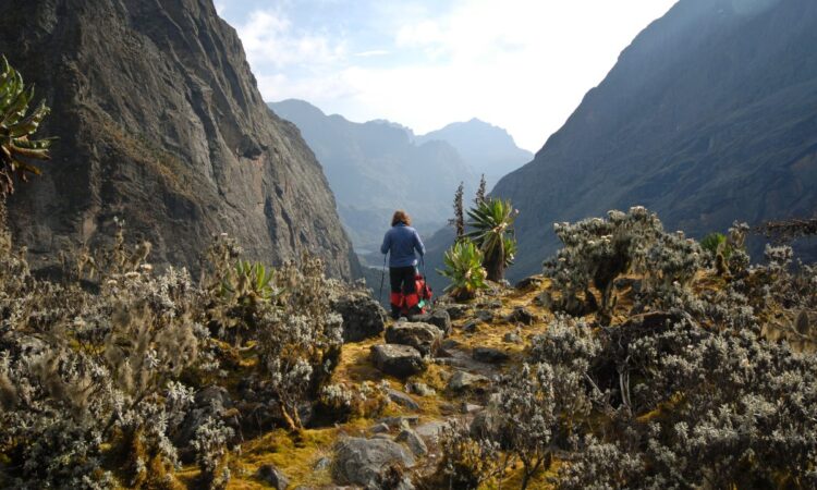 The wild Kilembe trail approach.